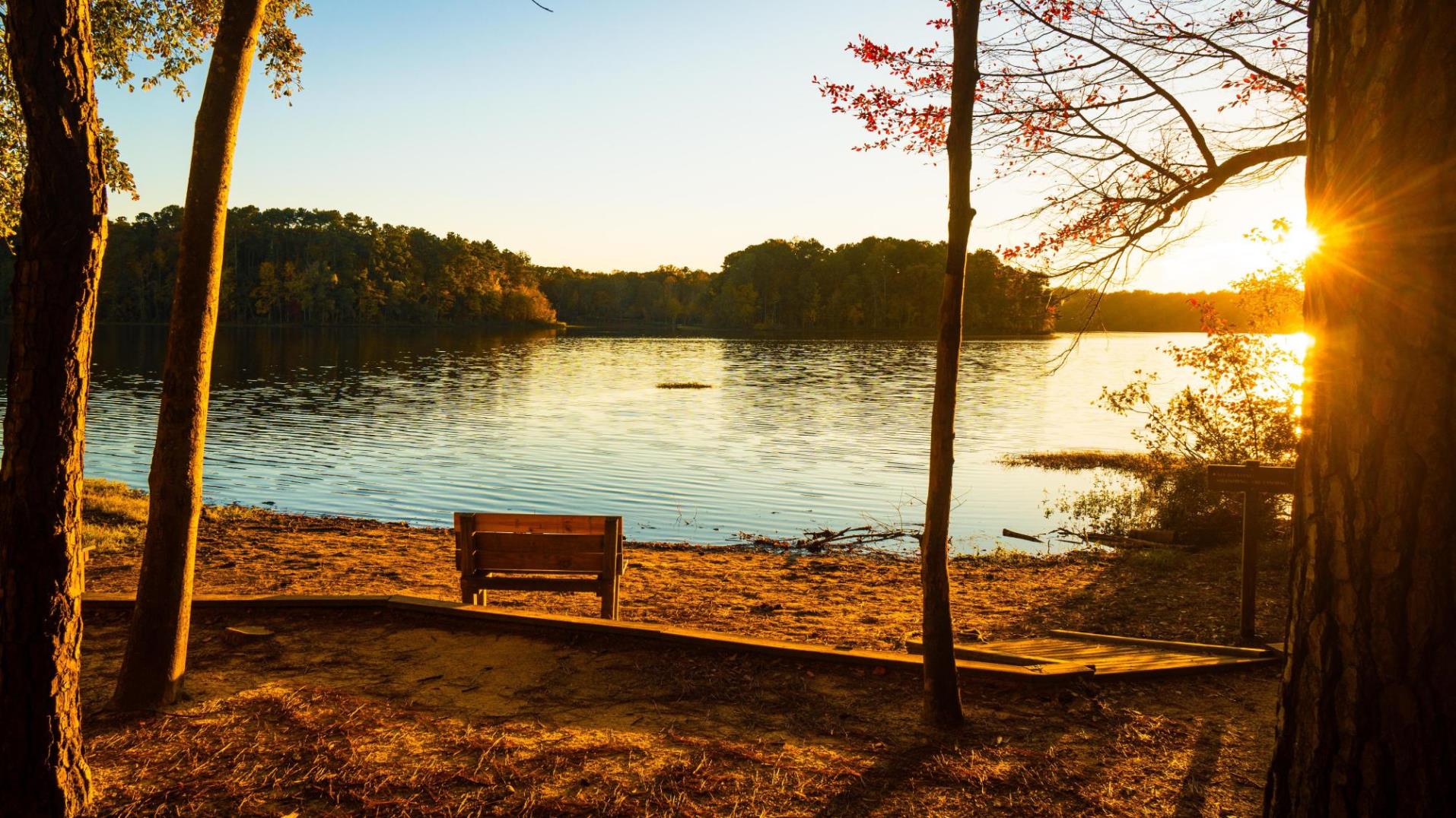 Lake Benson