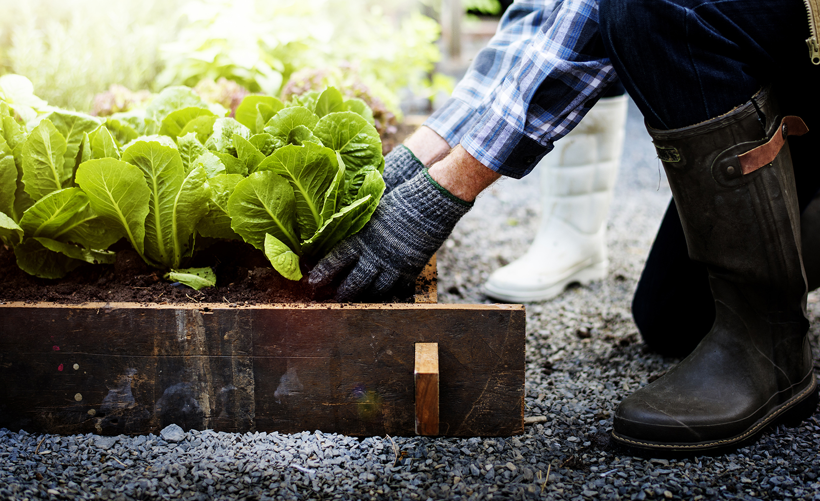 person gardening