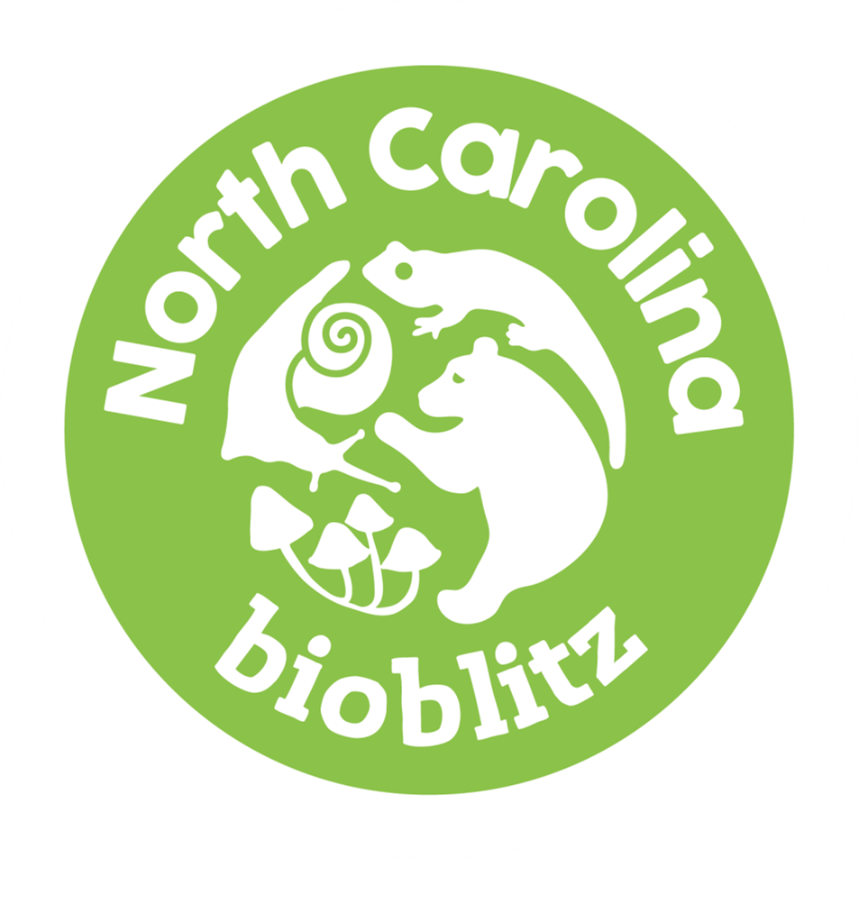 NC Bioblitz