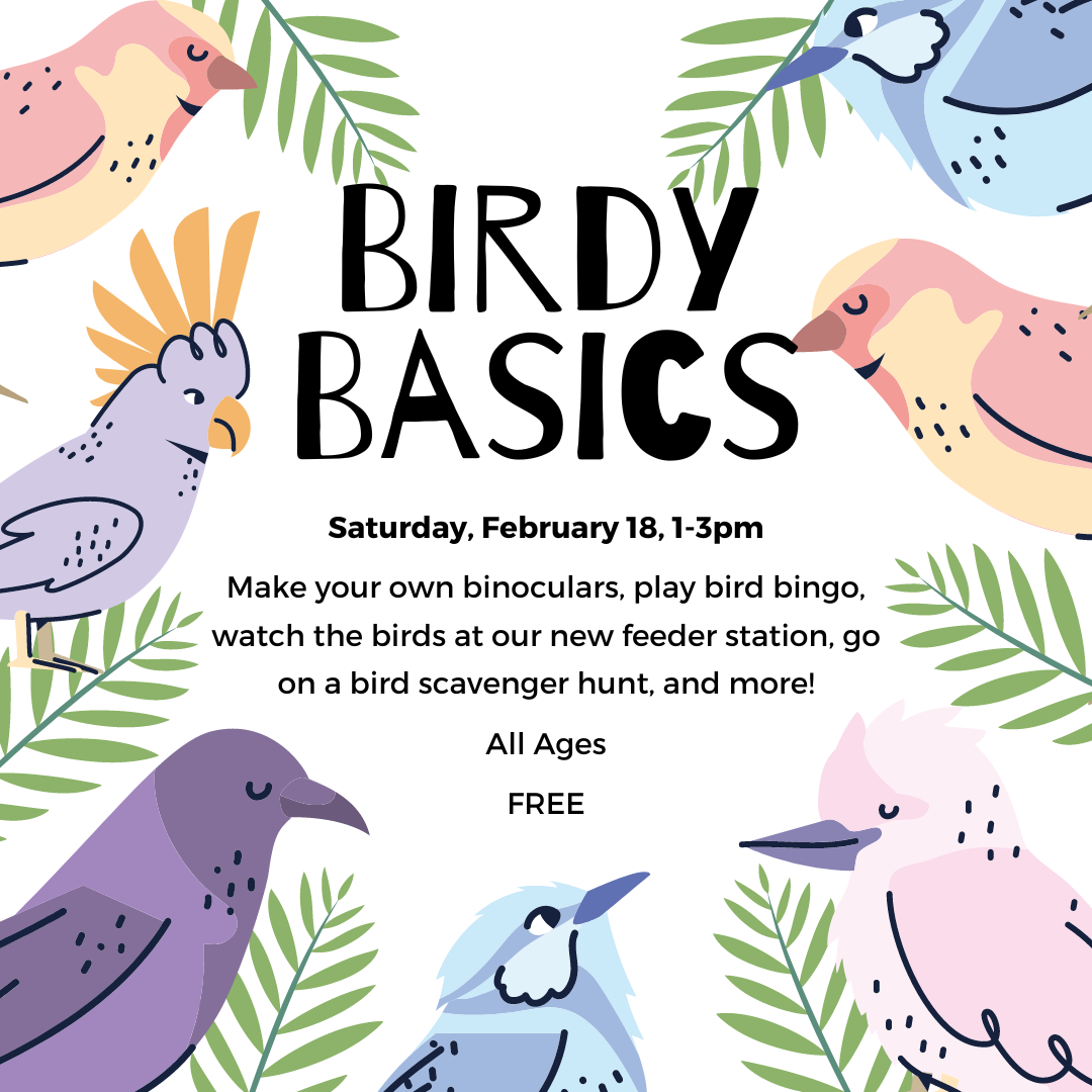 Birdy Basics