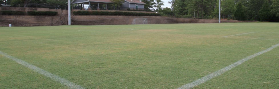 Soccer Fields 625 x 200