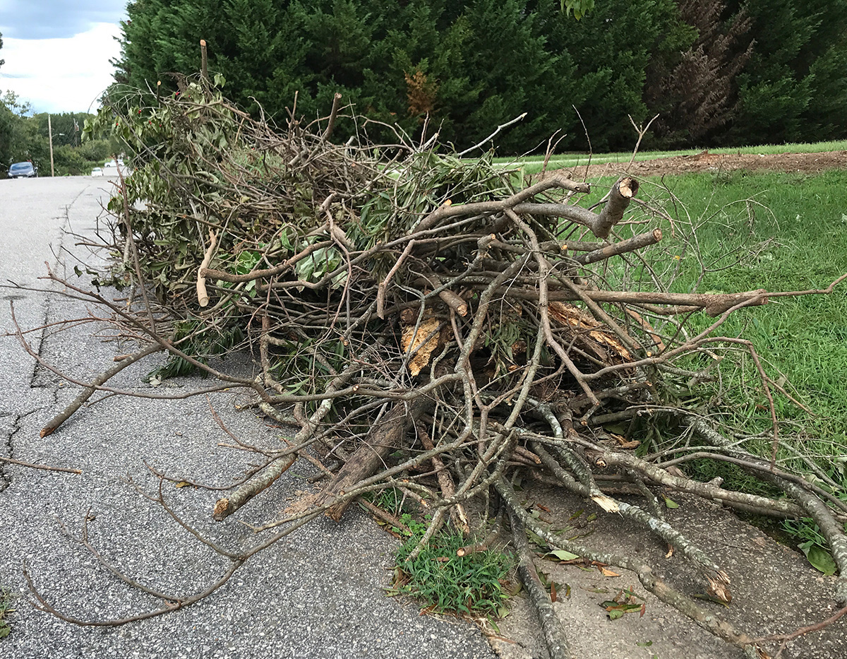 storm debris Florence