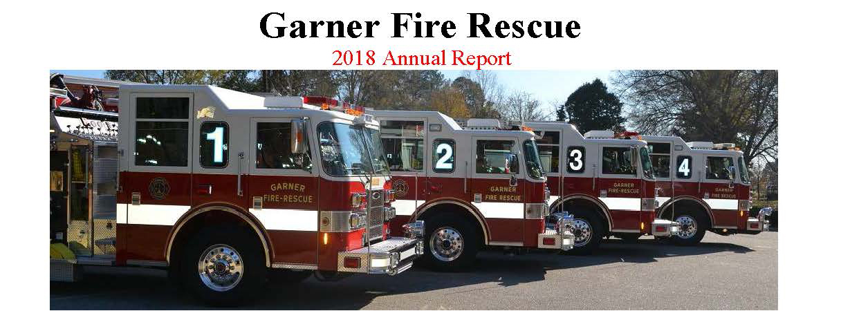 GFR_Annual_Report_2018_Public.8363227_Page_1